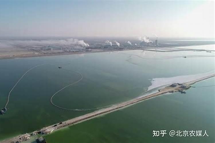 养花必备花肥、常用的花肥有哪些