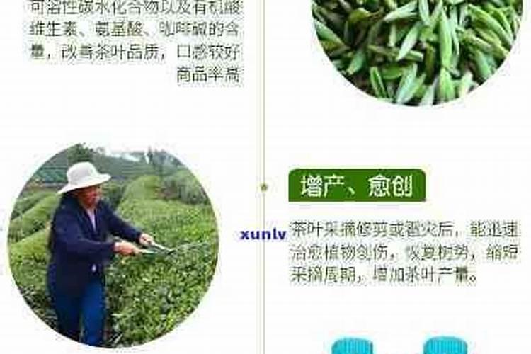 进口硼酸价格走势