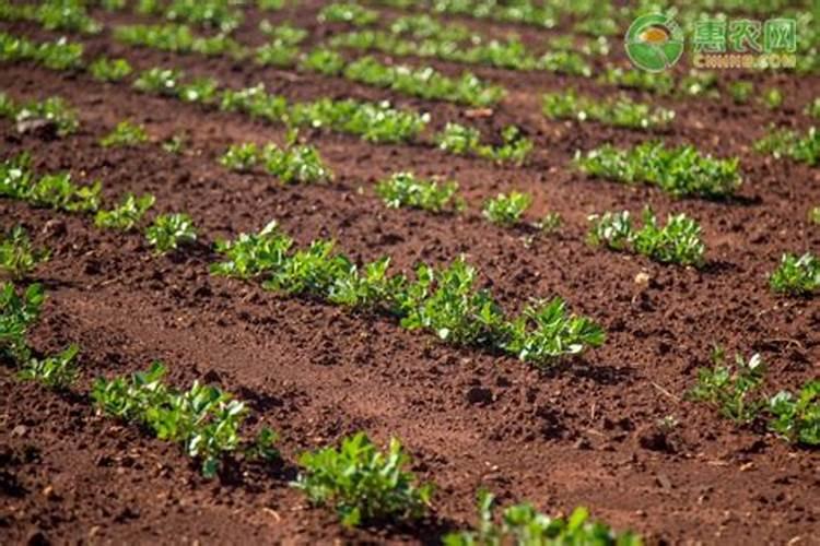 冬天能不能补钙