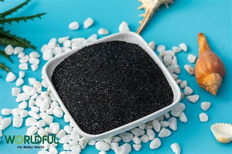 水培巴西木一直泡水里吗