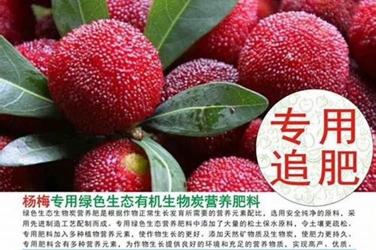 一棵果树施多少有机肥