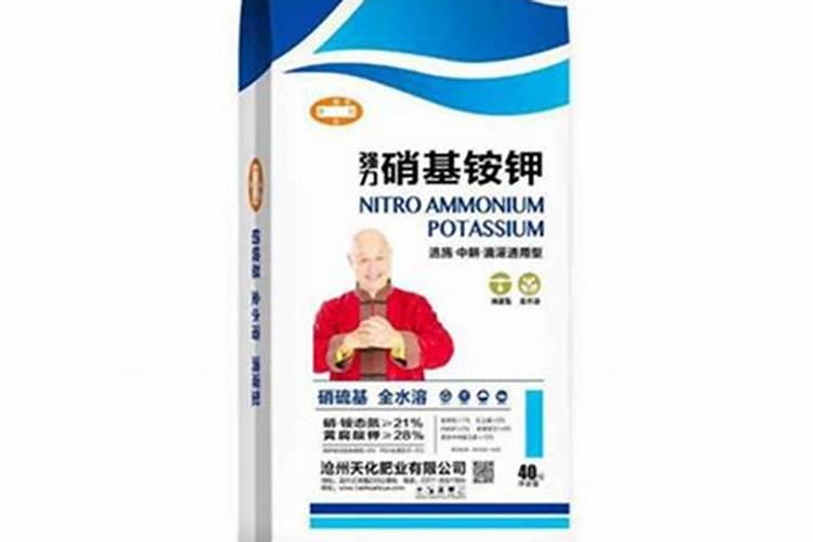 月季移栽注意事项 月季移栽有哪些注意事项