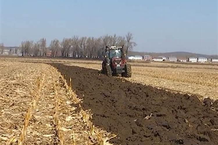 磷肥的作用是什么