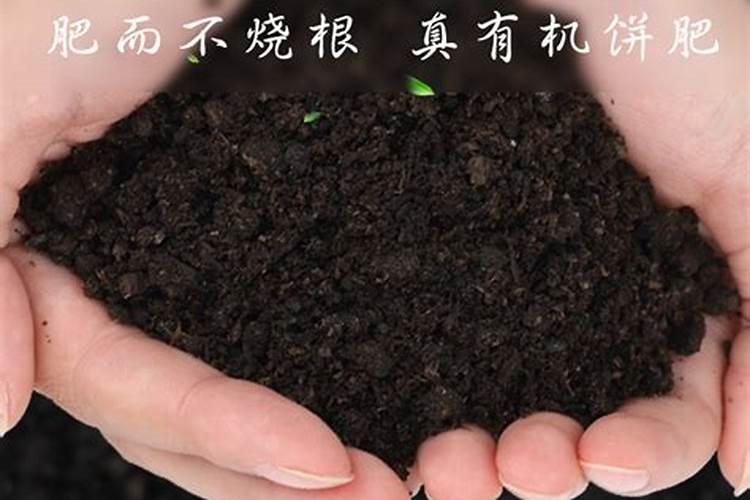 磷肥的作用 什么是磷肥