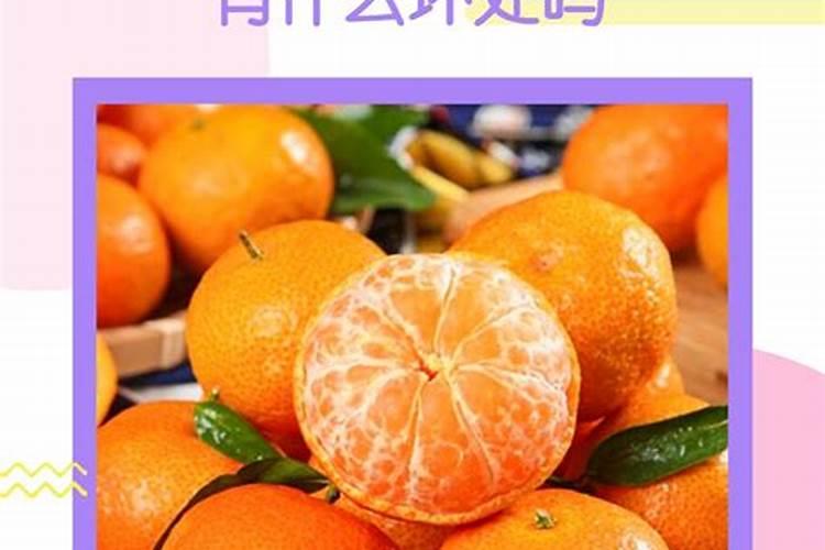 水培绿萝怎么养？