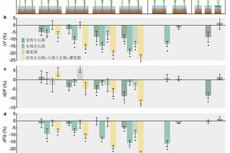氮肥的品种有哪些？
