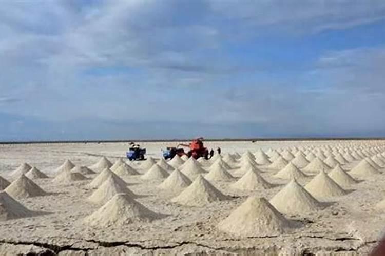 氮肥在植物上的作用和功效