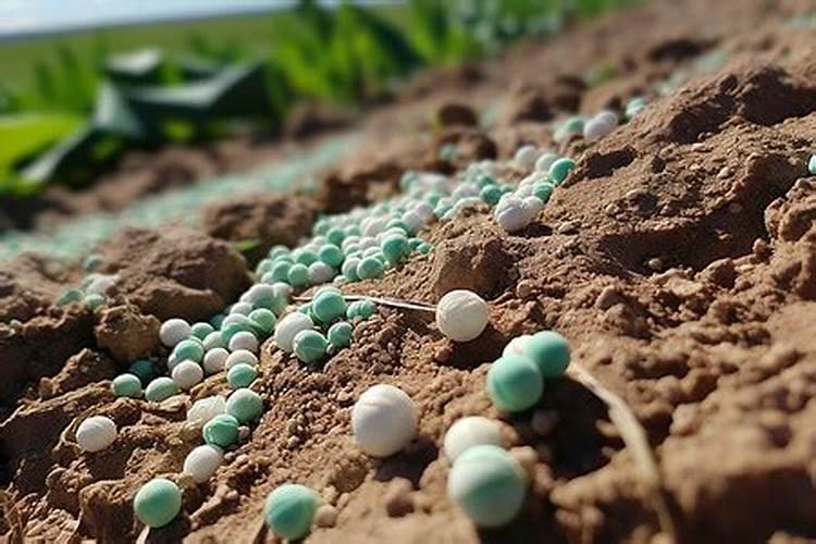 葡萄树叶面肥有哪些？不同时期叶面肥的运用？