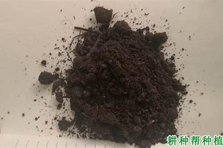 国内氨基酸水溶肥生产厂家有哪些？