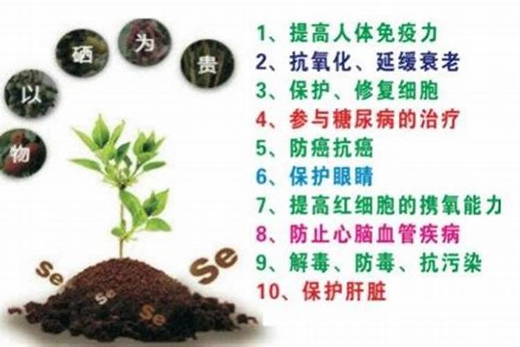 怎样给植物补硒元素