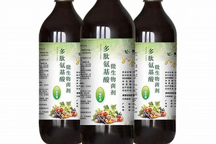 多肉植物火凤凰花怎么养殖 多肉植物火凤凰花如何养殖