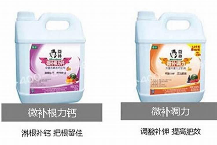 钙果苗多少钱一株？钙果苗价格产地简介