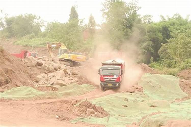 钙果苗多少钱一株？钙果苗价格产地简介