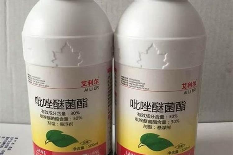 杀菌剂打多了会不会形成药害(杀菌剂使用注意事项)