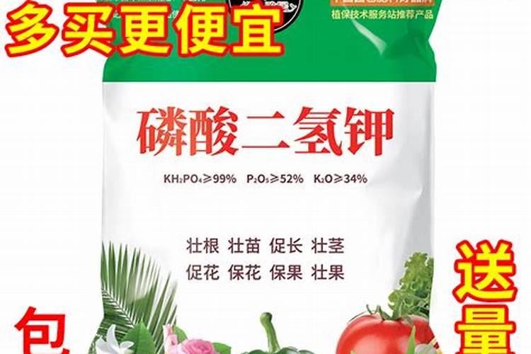 果树促花用什么叶面肥好？