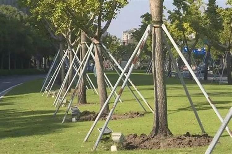 氢氧化钾对皮肤的作用