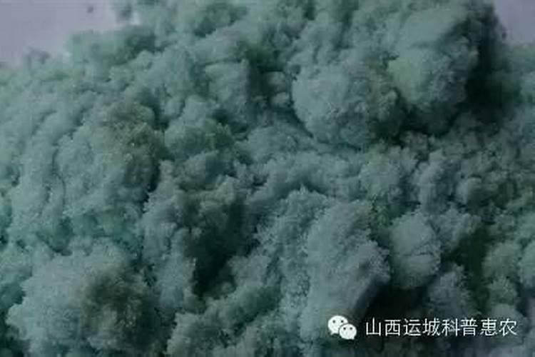 种水稻用什么肥料最好