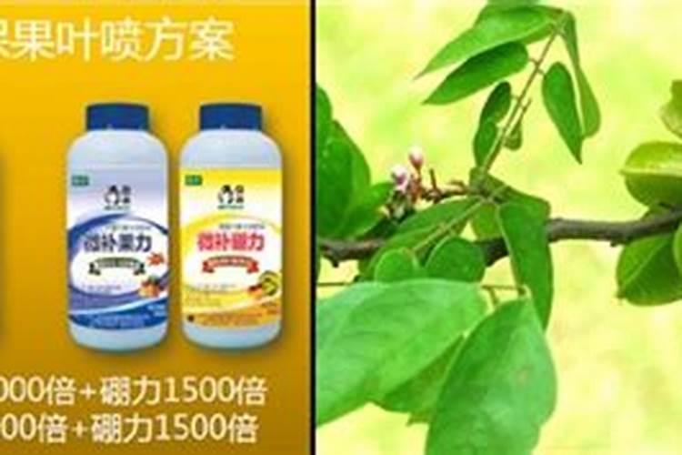 硝基复合肥的特点和作用是什么？这才是最全解答