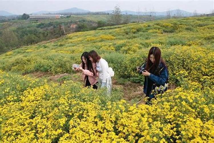 春季兰花怎样养殖好？