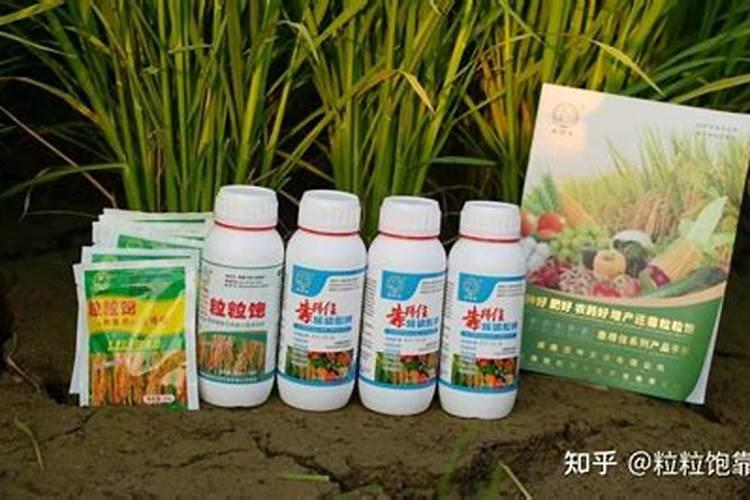 磷肥是指哪些肥料