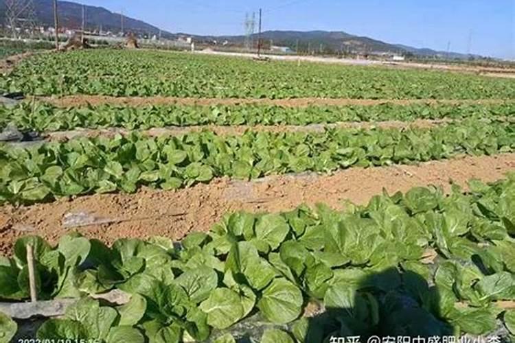 云天化花匠铺科技有限公司怎么样啊