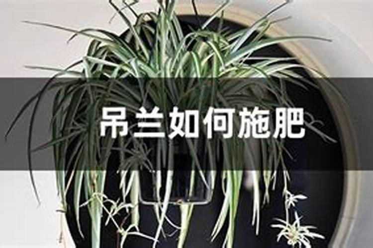 菜枯泡水多久可以拿去浇花？