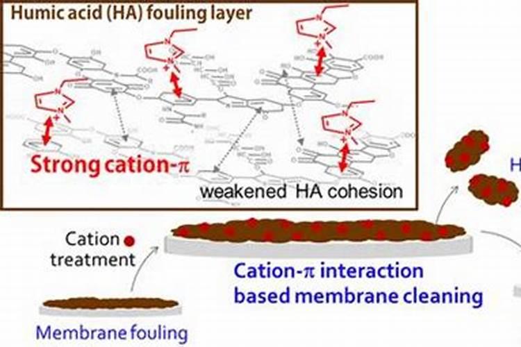 果树几月份结果
