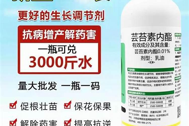 芸苔素使用有什么禁忌