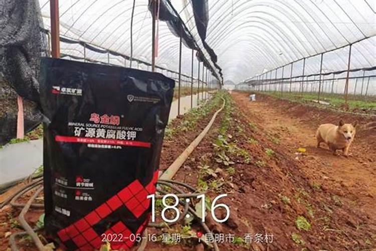 矿源黄腐酸钾里面含有的元素