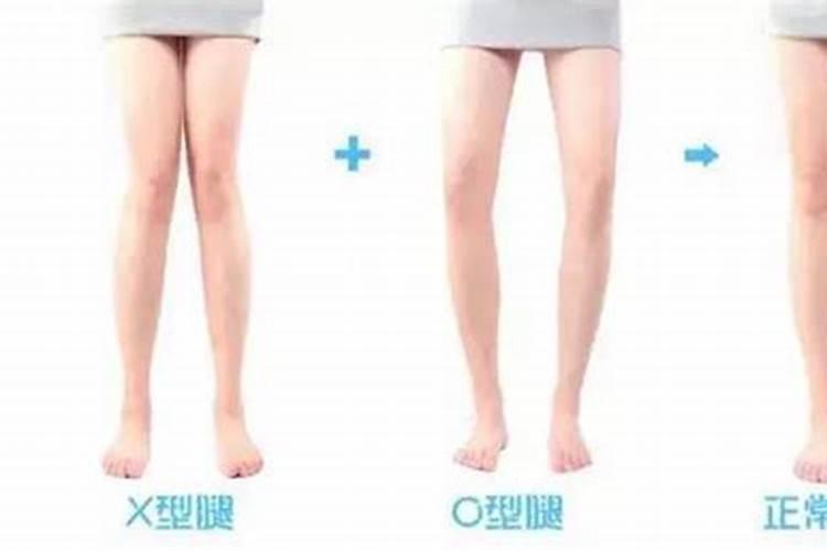 使用鱼蛋白肥会有什么效果？