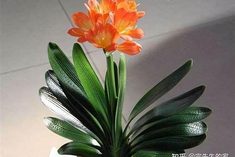 请问经常运动的人合适用修愈乐多肽钙吗？