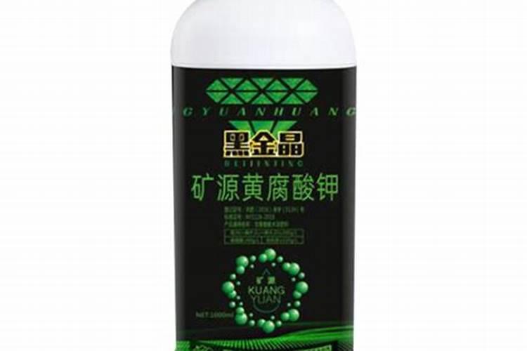 适合阳台暴晒的植物