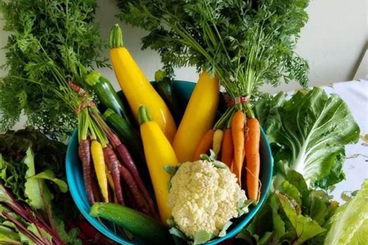 铁兰怎么施肥？