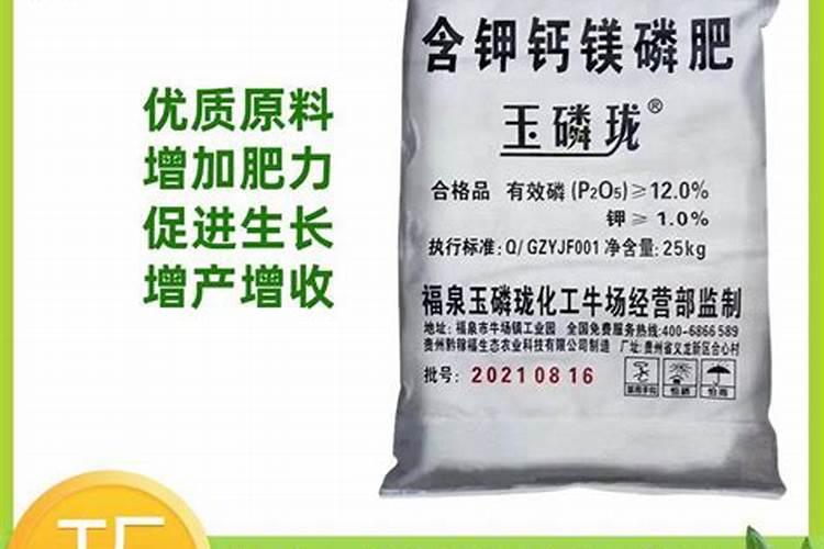 点豆肥吧是干啥的