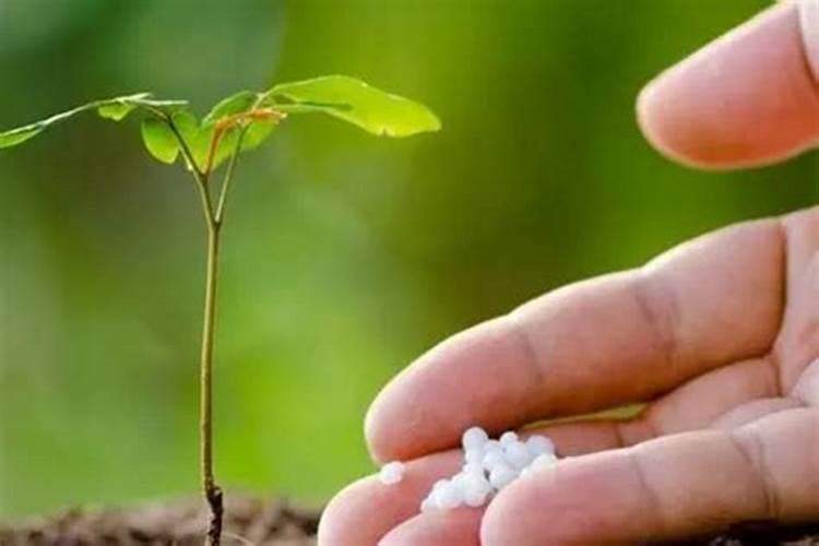 全国最好的硅肥厂家,大家来谈谈有哪些？