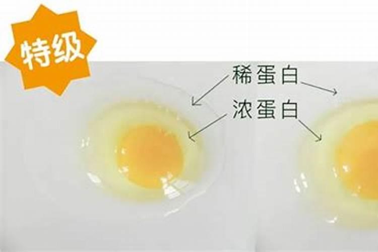 鱼胶是不是越粘稠雪好