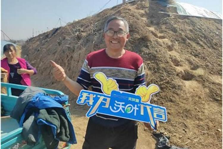 氮肥可以喷叶面吗