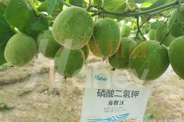 我家几亩的土壤开始板结了,有什么影响么？有什么方法改善么？