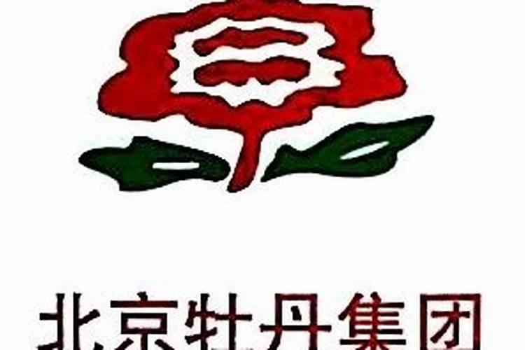 牡丹花怎样种植和养护(分享牡丹花栽种最佳时间)