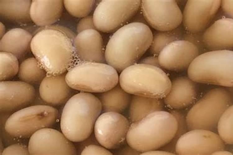 黄豆水属于磷肥还是氮肥