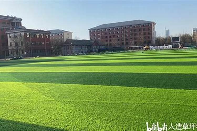 草坪尿素怎么使用