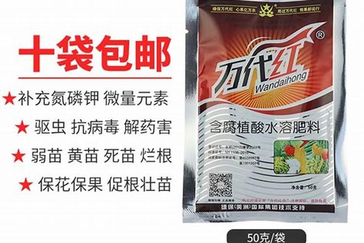 家养桂花树怎么养好养活