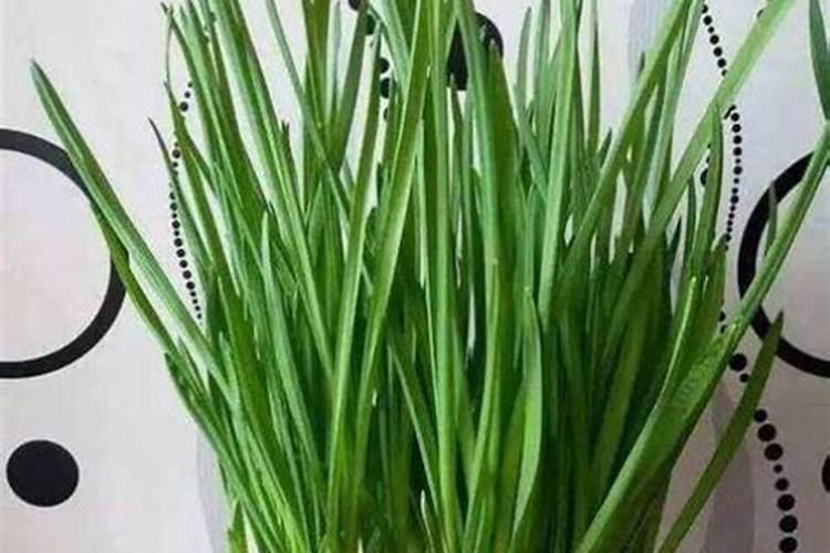 毛豆发酵了一股味道还能吃吗？为什么？