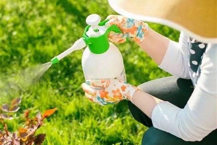 楼顶种菜怎么做防水？楼顶防水大不同么？