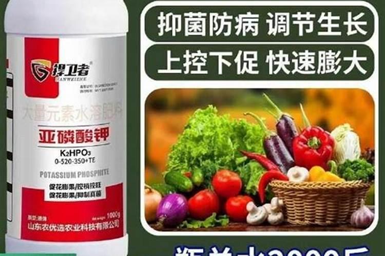 哪些食物含有高磷,高钾