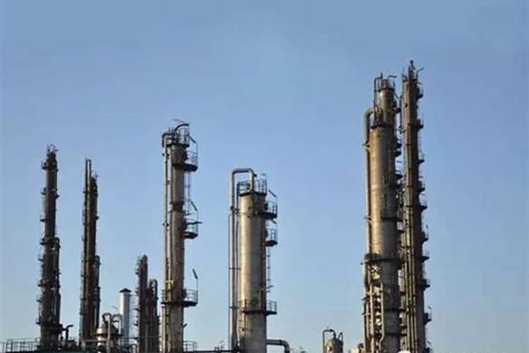 山木香嫁接后多久浇一次水