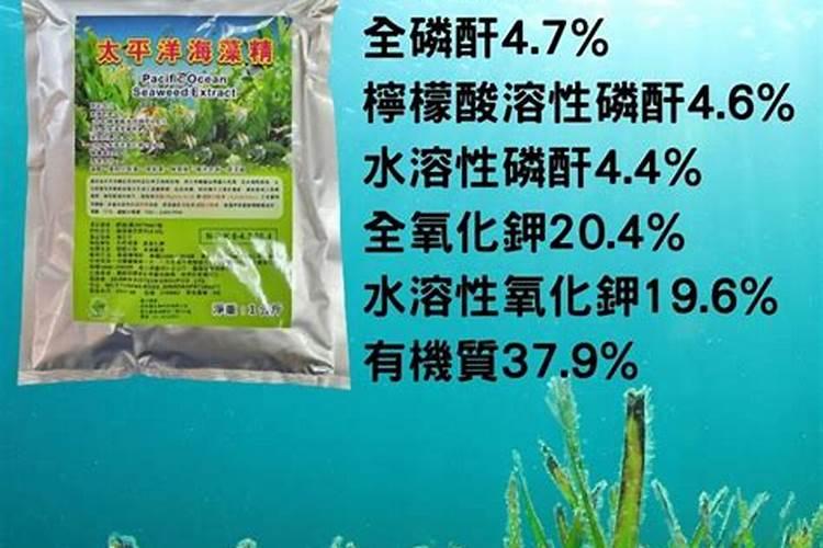 西瓜苗期用哪种肥料合适？西瓜用什么叶面肥膨果效果好？