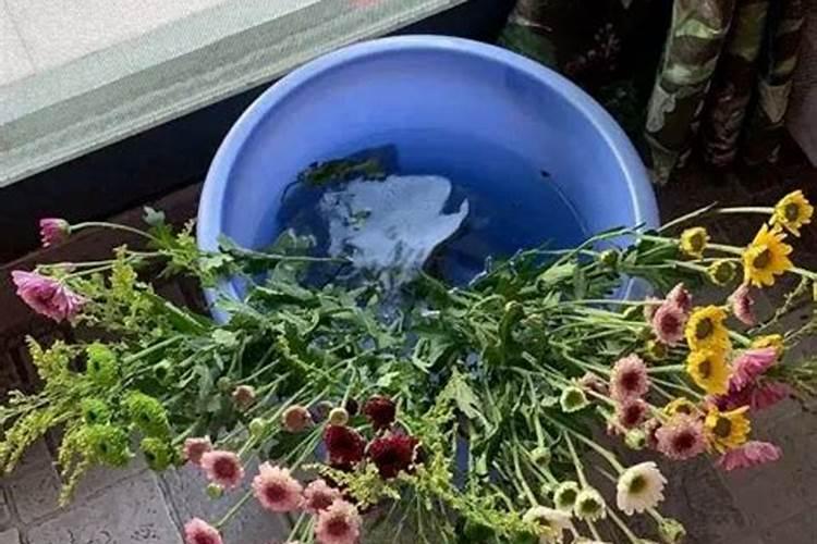 小桃树苗用什么肥长得快 如何合理施肥