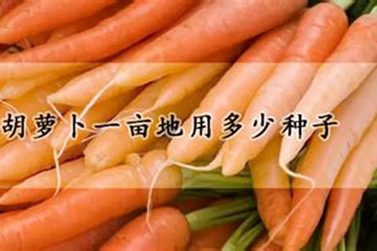 红萝卜用什么控旺？