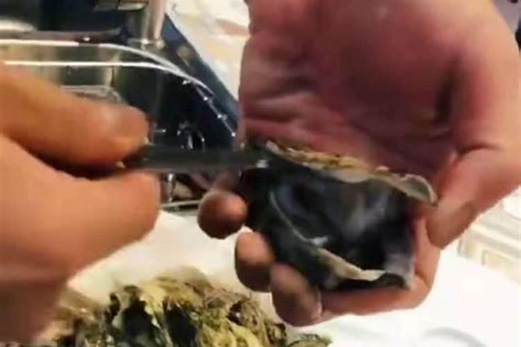 韭菜施肥的方法如下 韭菜怎么施肥